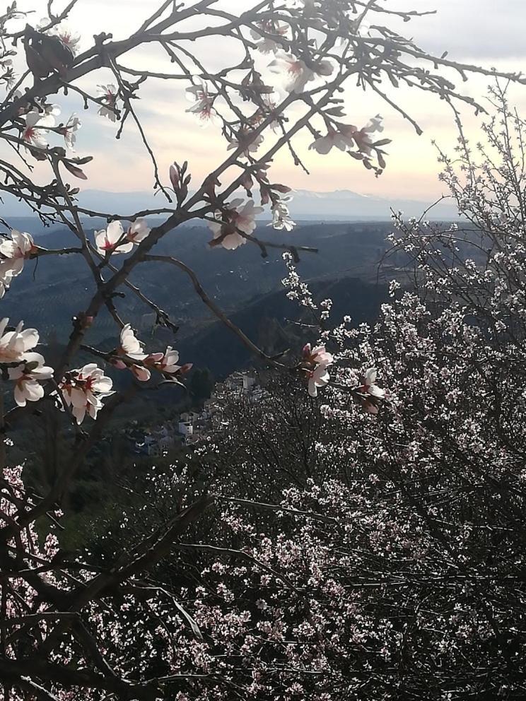 Willa El Mirador De Castril - Granada Zewnętrze zdjęcie